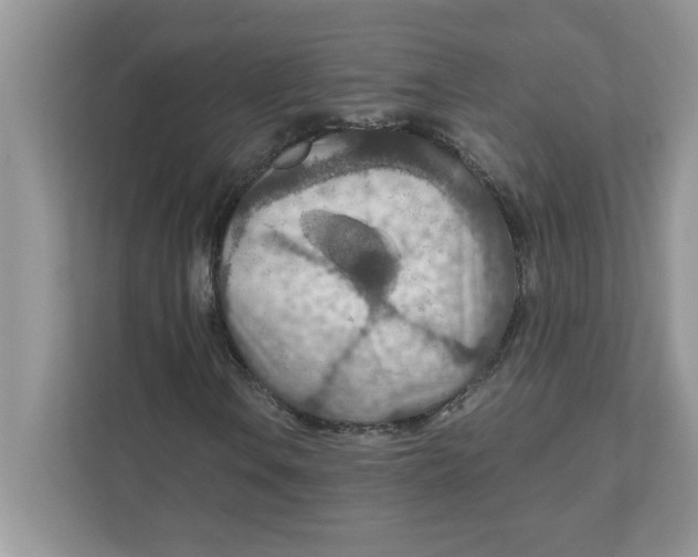 X0000110931106200907161533