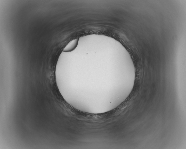 X0000110931109200907161533