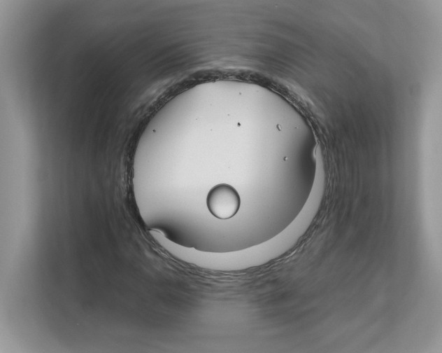 X0000110931110200907161533