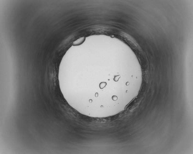 X0000110931111200907161533