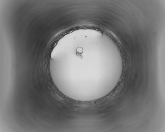 X0000110931112200907161533