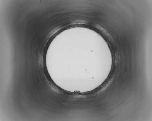 X0000110931113200907161533