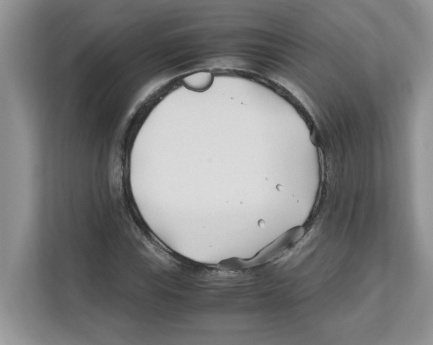X0000110931115200907161533