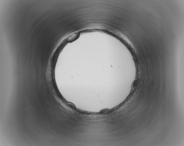 X0000110931116200907161533