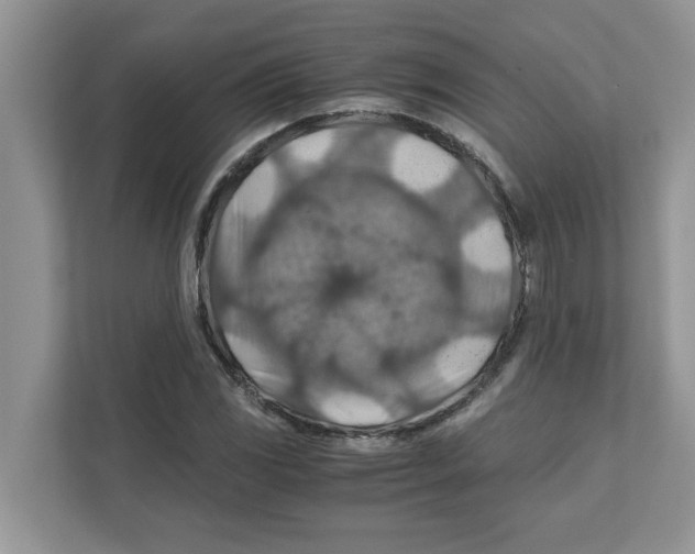X0000110931117200907161533