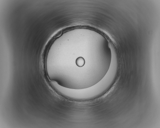 X0000110931118200907161534