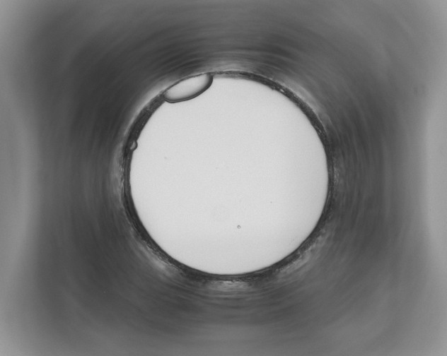 X0000110931119200907161534