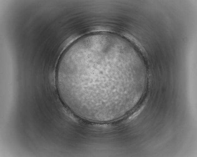 X0000110931121200907161534