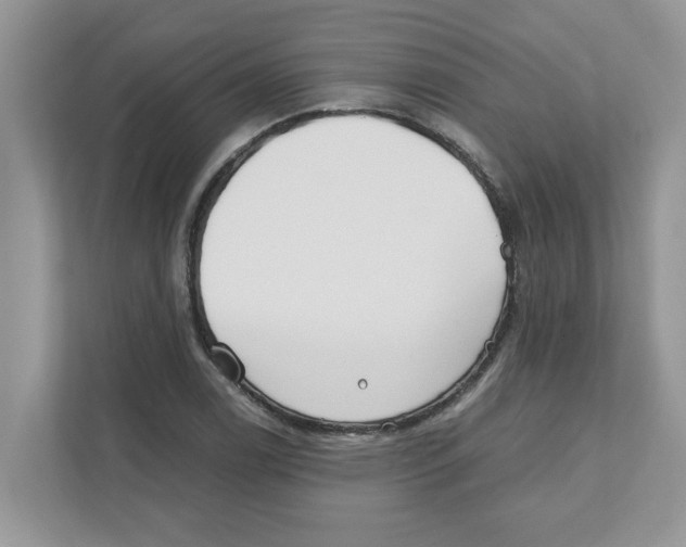 X0000110931122200907161534