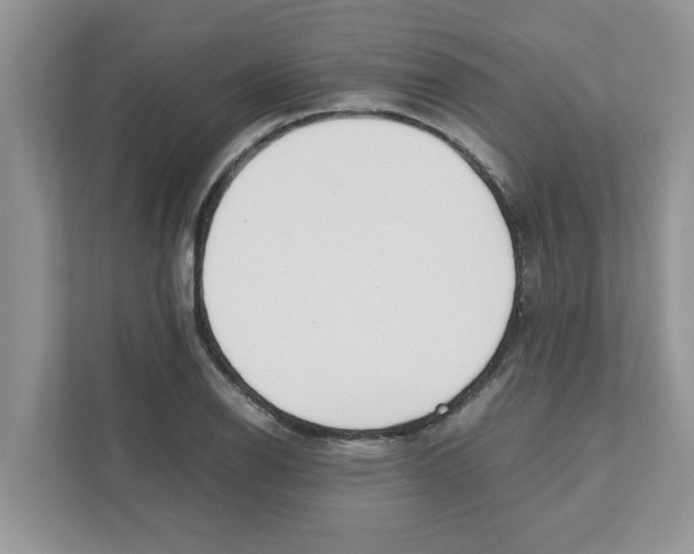X0000110931126200907161534