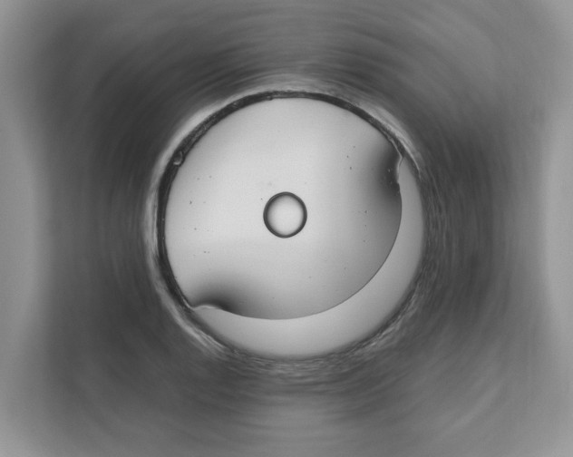 X0000110931128200907161534