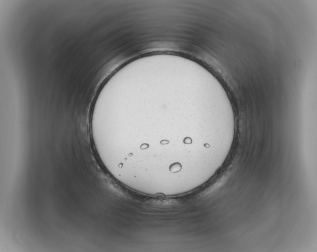 X0000110931129200907161534