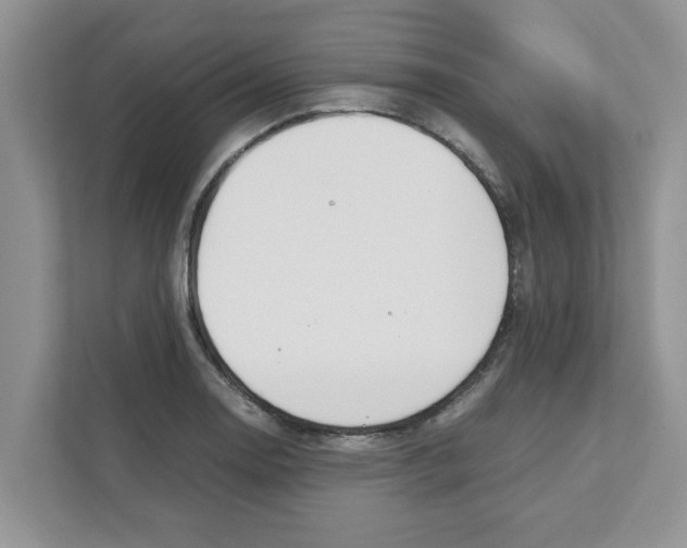 X0000110931130200907161534