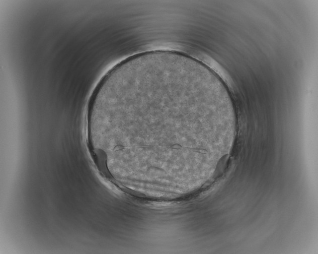 X0000110931132200907161534