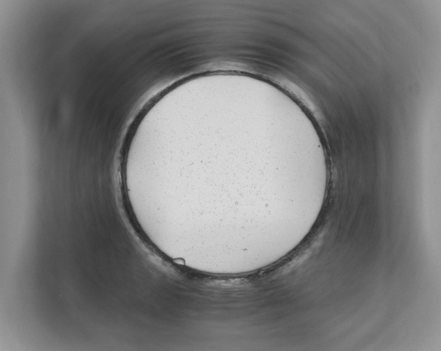 X0000110931133200907161534
