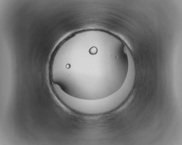 X0000110931134200907161534