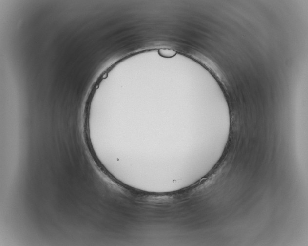 X0000110931135200907161534