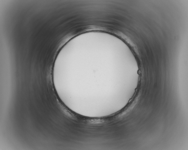 X0000110931137200907161534