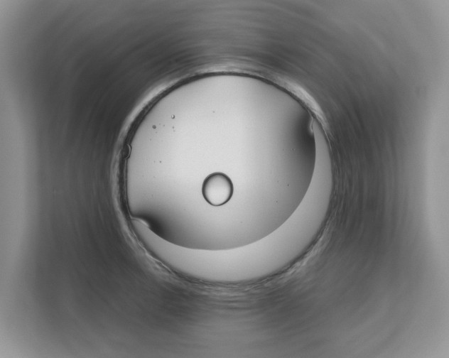 X0000110931138200907161534