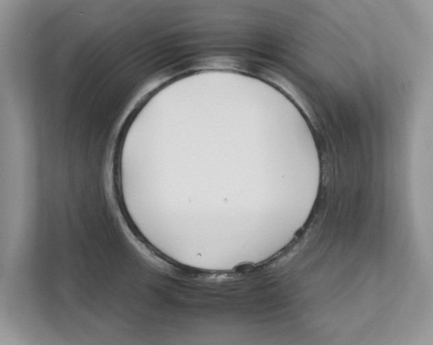 X0000110931139200907161534