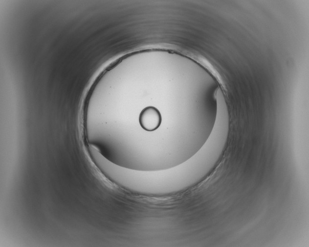 X0000110931140200907161534