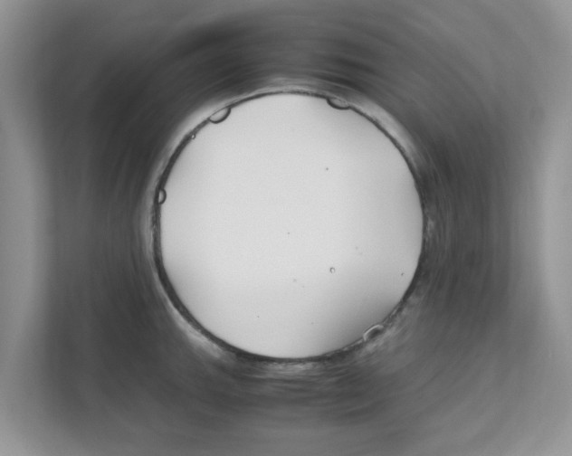 X0000110931143200907161534