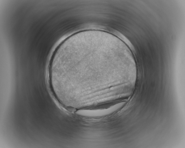 X0000110931144200907161534