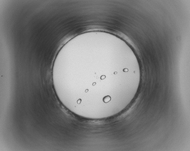 X0000110931145200907161534