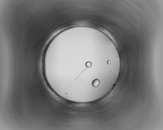 X0000110931147200907161534