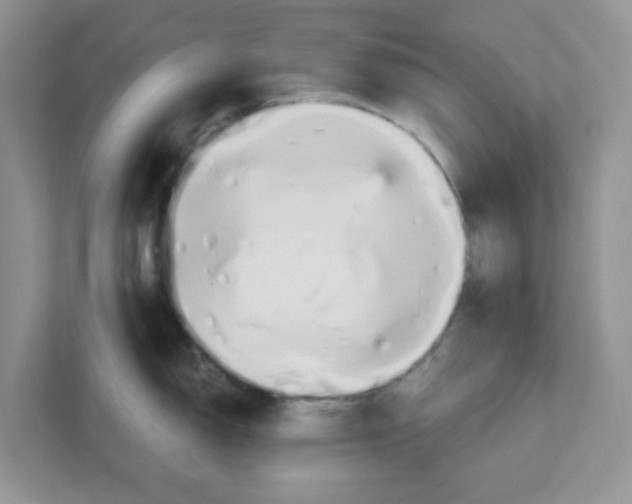 X0000110931150200907161534