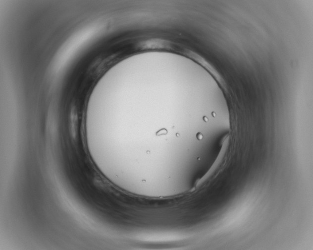 X0000110931151200907161534