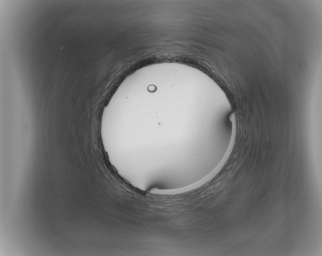 X0000110931153200907161533