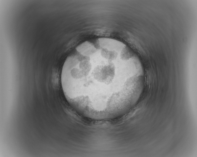 X0000110931154200907161533