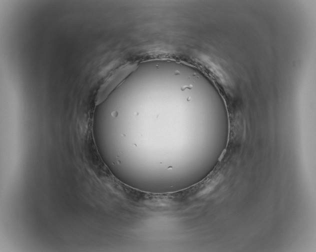 X0000110931157200907161533