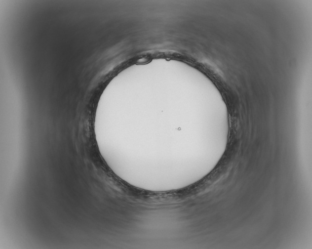 X0000110931159200907161533