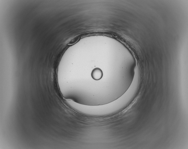 X0000110931161200907161533
