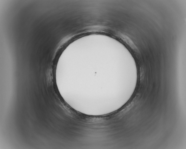 X0000110931164200907161533