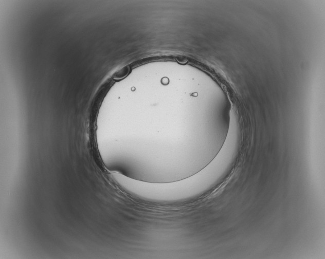 X0000110931165200907161533