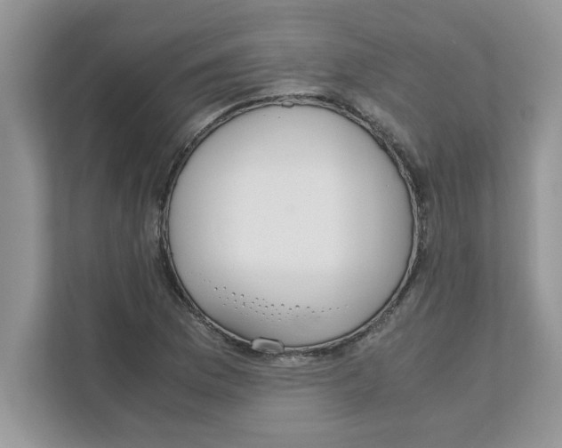 X0000110931169200907161533