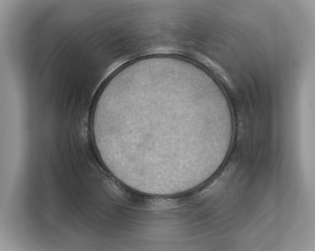 X0000110931170200907161533
