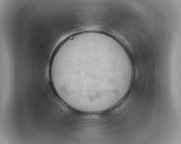 X0000110931174200907161533