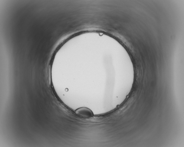 X0000110931175200907161533