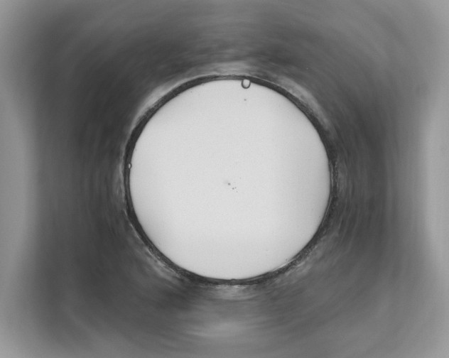 X0000110931176200907161533