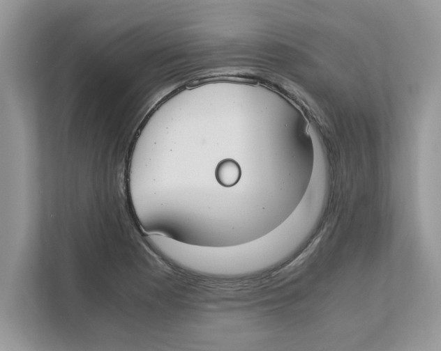 X0000110931177200907161533