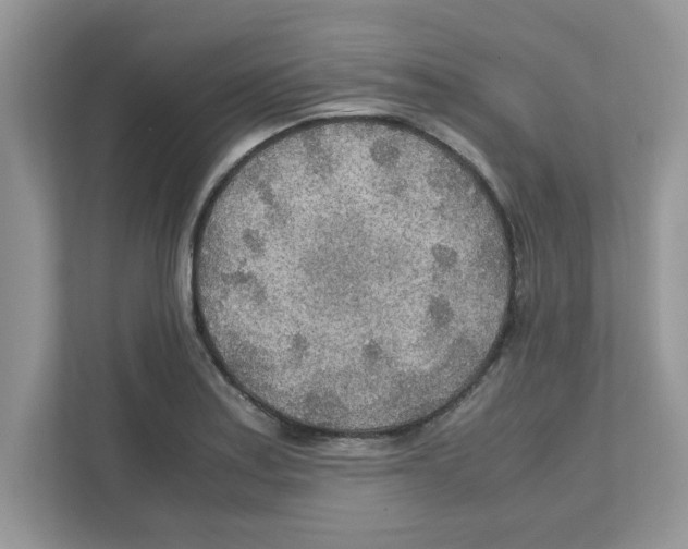 X0000110931179200907161533