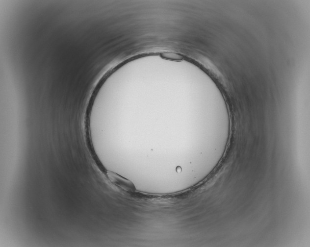 X0000110931181200907161533