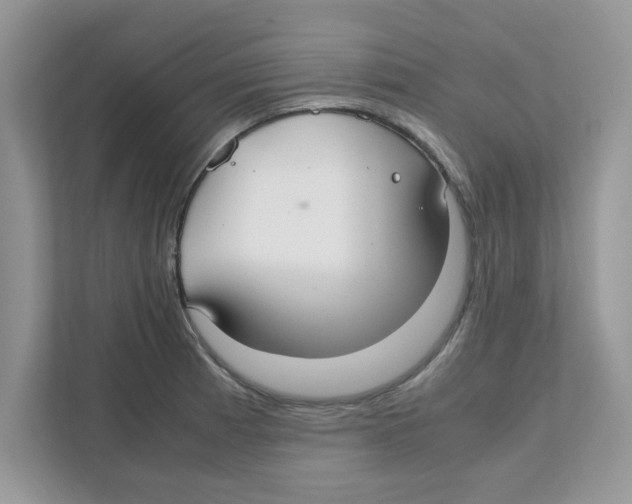 X0000110931185200907161533