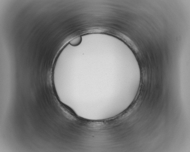 X0000110931186200907161533