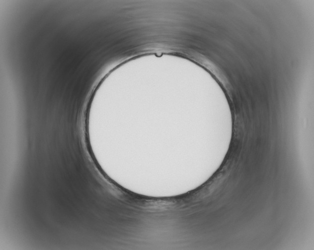 X0000110931187200907161533