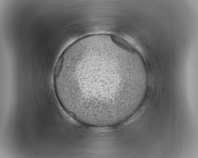 X0000110931189200907161533